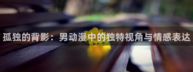 age樱花动漫：孤独的背影：男动漫中的独特视角与情感表达