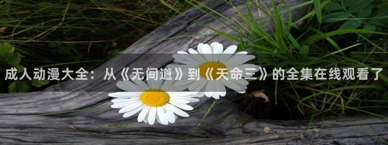 age动漫网官网入口：成人动漫大全：从《无间道》到《天命三》的全集在线观看了