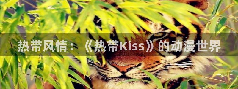 age动漫官网版入口：热带风情：《热带Kiss》的动漫世界