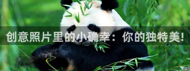 age动漫下载：创意照片里的小确幸：你的独特美!