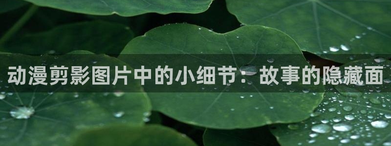 拷贝漫画 copymanager.ory网站：动漫剪影图片中的小细节：故事的隐藏面
