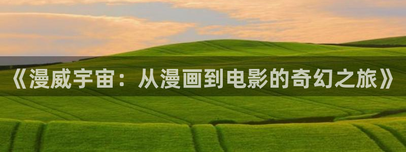 age动漫下载网：《漫威宇宙：从漫画到电影的奇幻之旅》