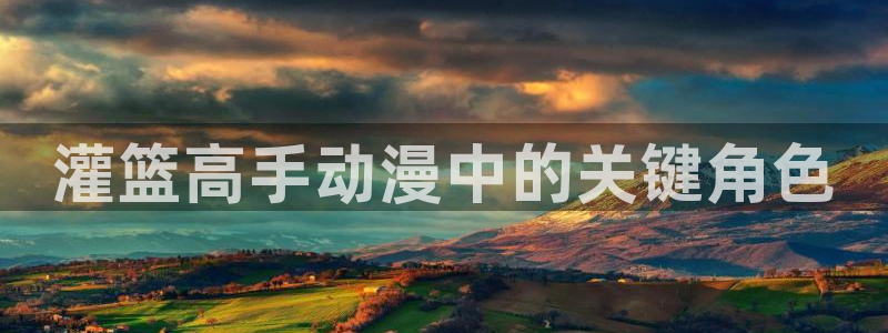 age动漫官网版入口：灌篮高手动漫中的关键角色
