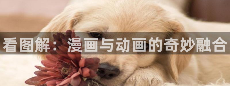 kakaopage韩漫官网：看图解：漫画与动画的奇妙融合