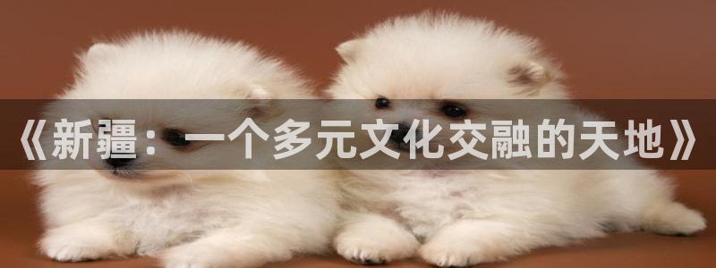 age动漫下载入口：《新疆：一个多元文化交融的天地》