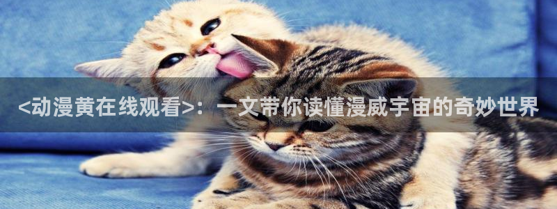 拷贝漫画 copymanager.ory网站：<动漫黄在线观看>：一文带你读懂漫威宇宙的奇妙世界