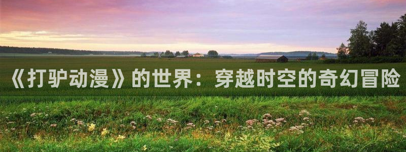 age动漫下载入口：《打驴动漫》的世界：穿越时空的奇幻冒险