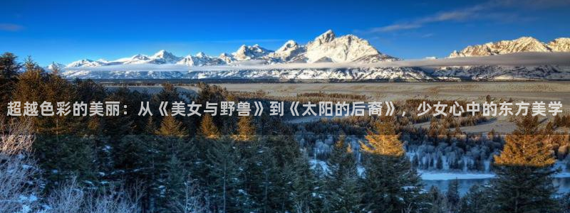 age动漫网下载：超越色彩的美丽：从《美女与野兽》到《太阳的后裔》，少女心中的东方美学