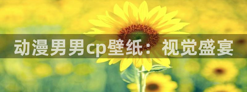 age漫画网：动漫男男cp壁纸：视觉盛宴
