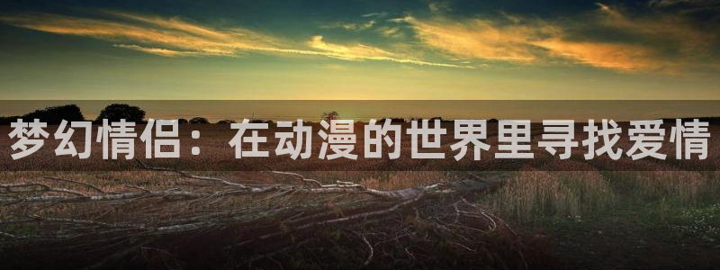 age动漫网官网入口：梦幻情侣：在动漫的世界里寻找爱情