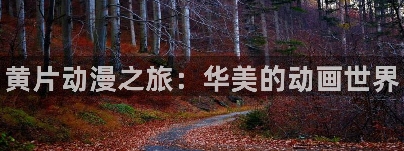 age动漫omofun：黄片动漫之旅：华美的动画世界