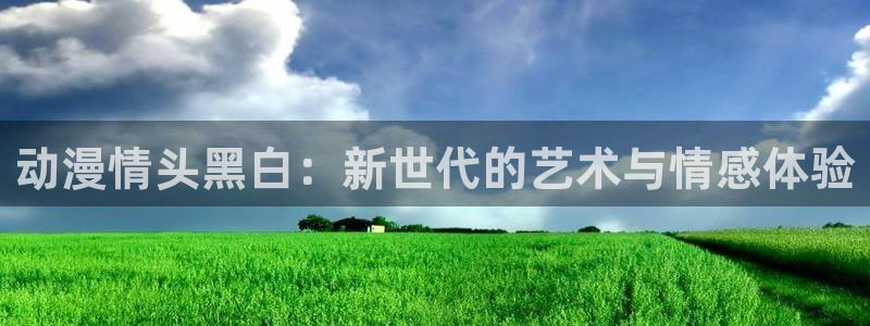 age动漫网：动漫情头黑白：新世代的艺术与情感体验