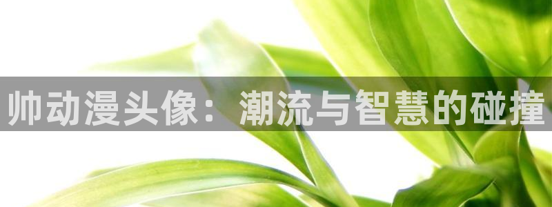 age动漫樱花：帅动漫头像：潮流与智慧的碰撞