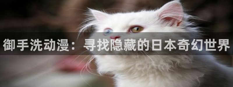 在线动画动漫下载age动漫：御手洗动漫：寻找隐藏的日本奇幻世界