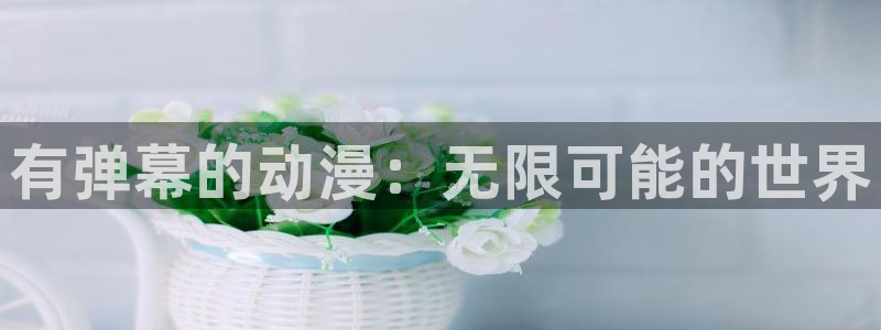 age动漫网官网入口：有弹幕的动漫：无限可能的世界